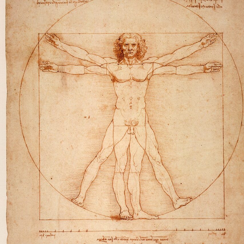 leonardo da vinci, the vitruvian man, uomo vitruviano-1125056.jpg